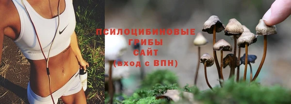 таблы Майский