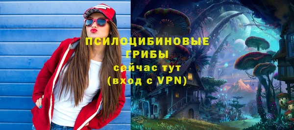 2c-b Михайловск