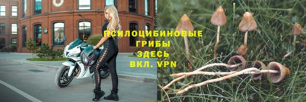 метадон Магас